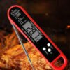Domestic kitchen thermometer Meat